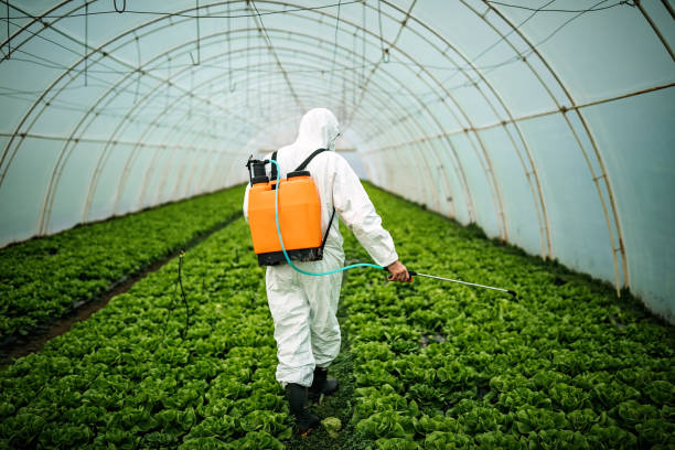 Best Best Pest Control Companies  in Pine Lakes, FL