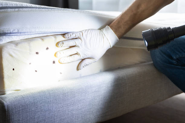 Best Pest Control Near Me  in Pine Lakes, FL