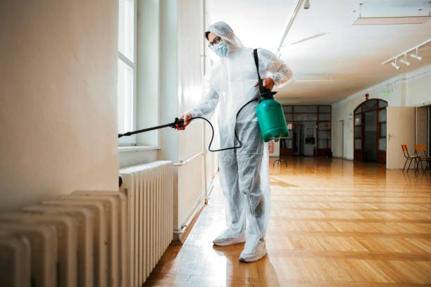 Best Termite Control Services  in Pine Lakes, FL